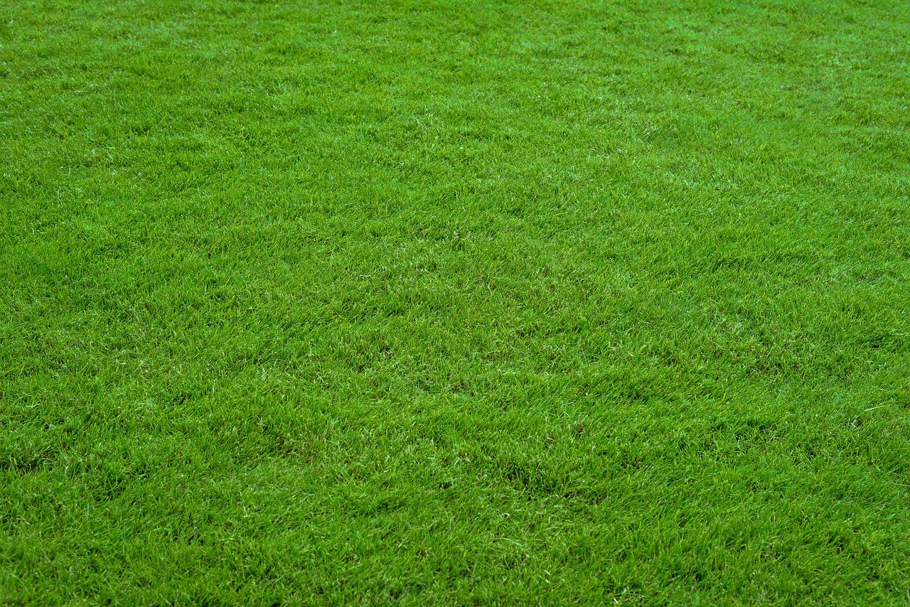 technique pour éviter mauvaises herbes