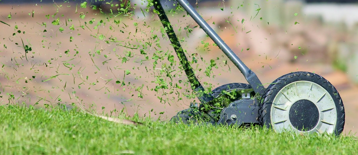 recycler herbe de tonte