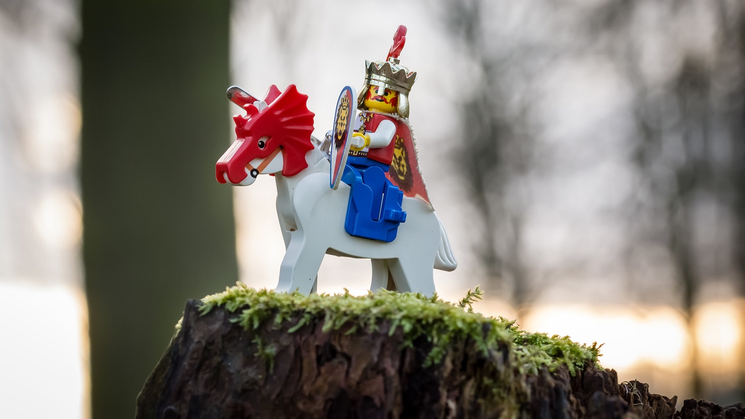 pas de figurine Roi dans le prochain Set Lego « Lion King's Castle »
