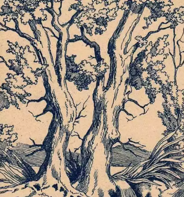 Voyez vous les 3 visages cachés sur cette image ?